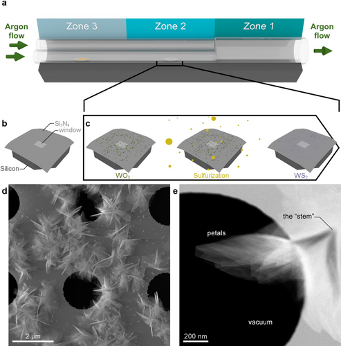 Details are in the caption following the image Details are in the caption following the image