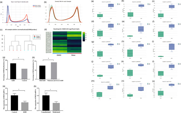 Effects of methylation of deiodinase 3 gene on gene expression and severity of Kashin–Beck disease