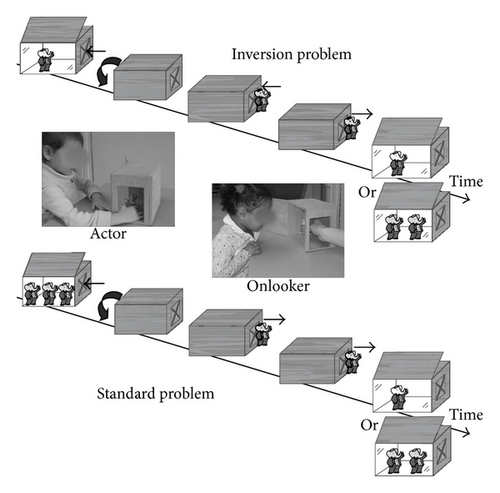 Details are in the caption following the image Details are in the caption following the image