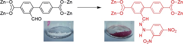 Post-Synthetic Modification of Tagged Metal–Organic Frameworks
