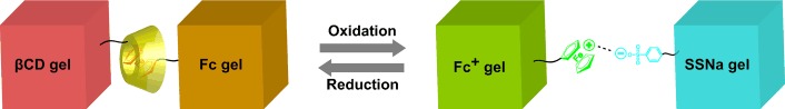 Redox-Responsive Macroscopic Gel Assembly Based on Discrete Dual Interactions