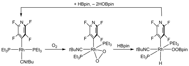 Stepwise Oxygenation of Pinacolborane by a Rhodiumperoxo Complex: Detection of an Intermediate Metal Borate and Perborate
