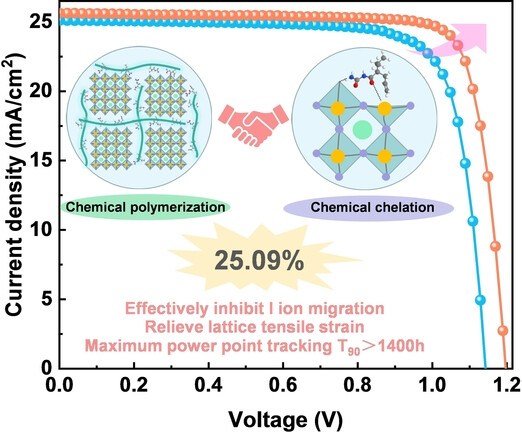 Inhibiting Ion Migration Through Chemical Polymerization and Chemical Chelation Toward Stable Perovskite Solar Cells
