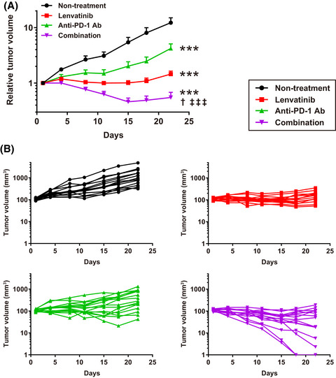 Immunomodulatory activity of lenvatinib contributes to antitumor activity in the Hepa1-6 hepatocellular carcinoma model