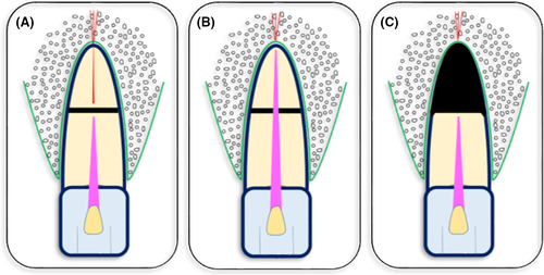 Details are in the caption following the image Details are in the caption following the image