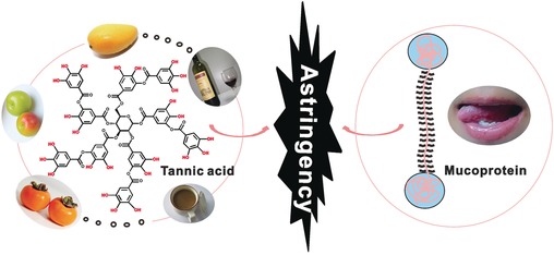 Astringent Mouthfeel as a Consequence of Lubrication Failure