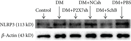 Details are in the caption following the image