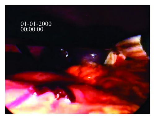 Details are in the caption following the image Details are in the caption following the image