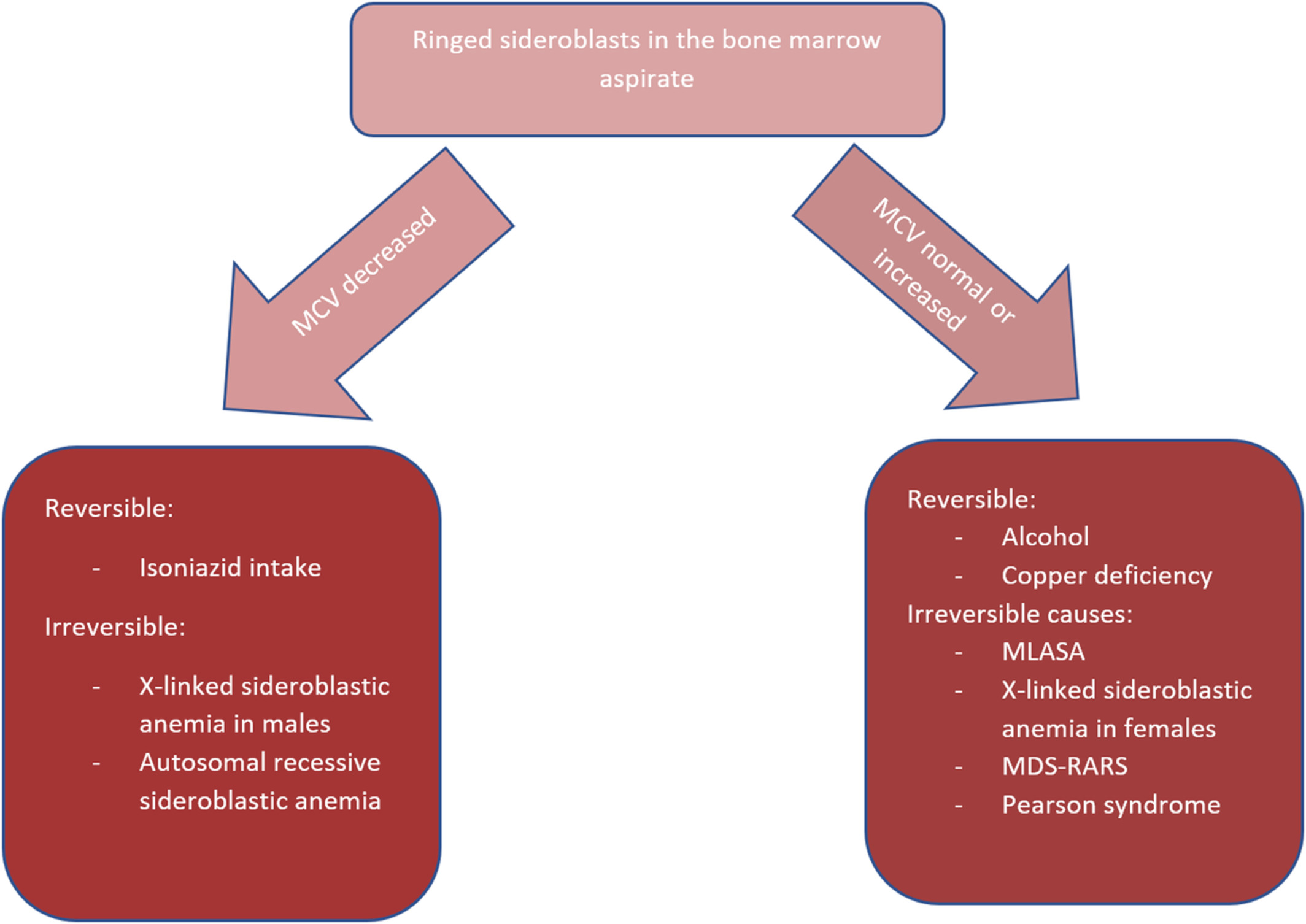 Recurrent sideroblastic anemia during pregnancy