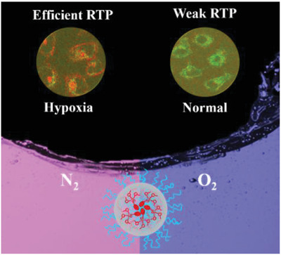 Ratiometric hypoxia detection by bright organic room temperature phosphorescence of uniformed silica nanoparticles in water