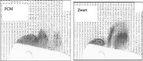 Details are in the caption following the image