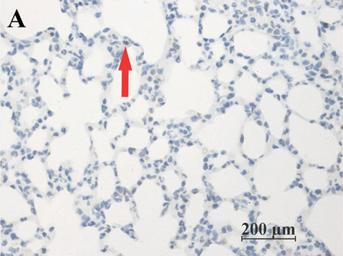 Details are in the caption following the image