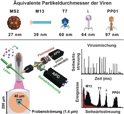 Label-Free Analysis of Single Viruses with a Resolution Comparable to That of Electron Microscopy and the Throughput of Flow Cytometry