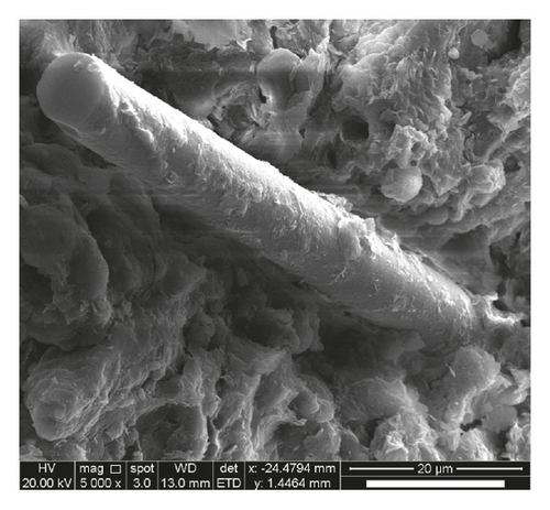 Details are in the caption following the image