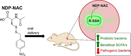 Targeted Delivery of Persulfides to the Gut: Effects on the Microbiome
