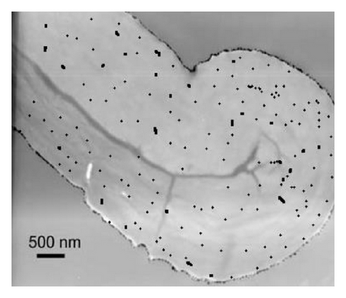 Details are in the caption following the image