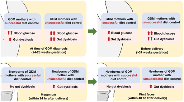 Early gut dysbiosis could be an indicator of unsuccessful diet control in gestational diabetes mellitus