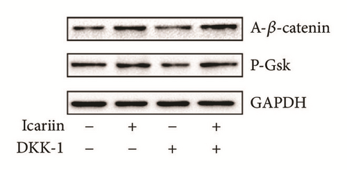 Details are in the caption following the image