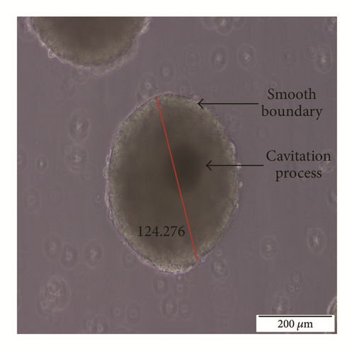 Details are in the caption following the image