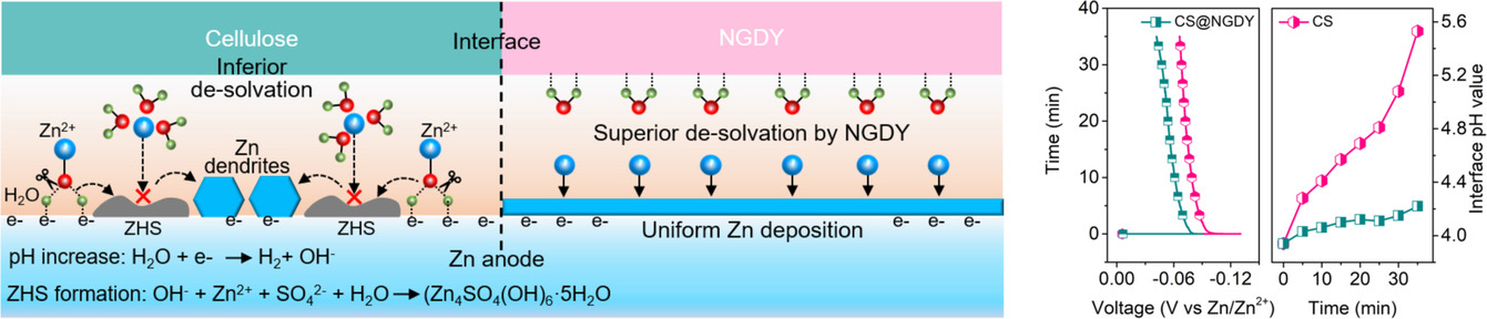 Stabilizing Interface pH by N-Modified Graphdiyne for Dendrite-Free and High-Rate Aqueous Zn-Ion Batteries