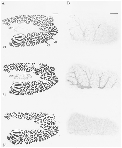 Details are in the caption following the image