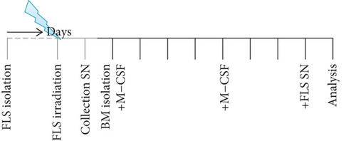 Details are in the caption following the image