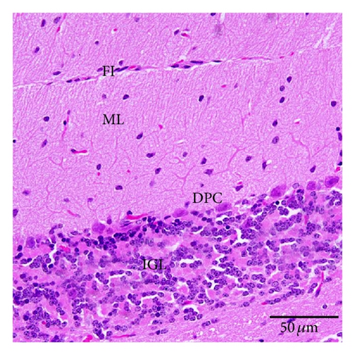 Details are in the caption following the image
