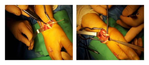Details are in the caption following the image Details are in the caption following the image