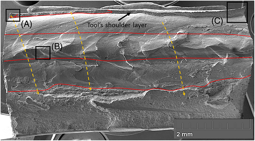 Details are in the caption following the image