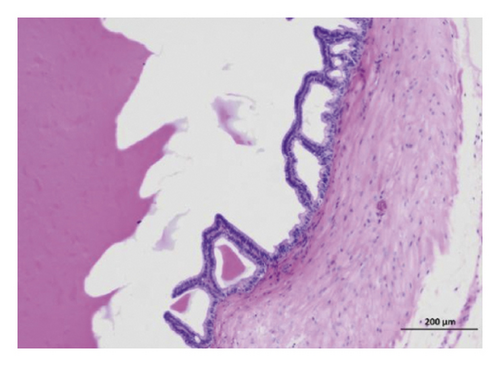 Details are in the caption following the image