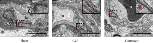 Details are in the caption following the image