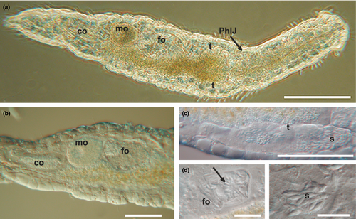 Details are in the caption following the image Details are in the caption following the image