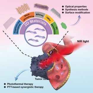 Two-Dimensional Nanomaterials for Photothermal Therapy