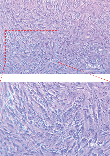 Details are in the caption following the image