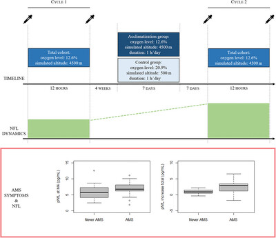 Neurofilament Light Chain Is Associated With Acute Mountain Sickness