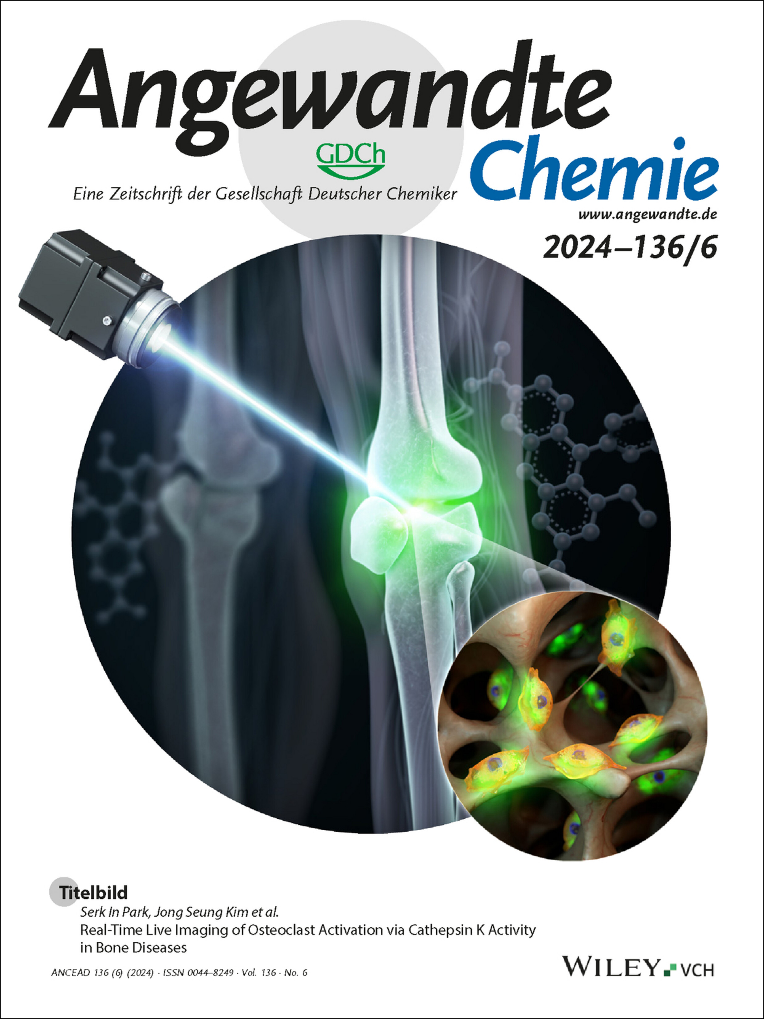 Titelbild: Real-Time Live Imaging of Osteoclast Activation via Cathepsin K Activity in Bone Diseases (Angew. Chem. 6/2024) Volume 136 Issue 6, 2024