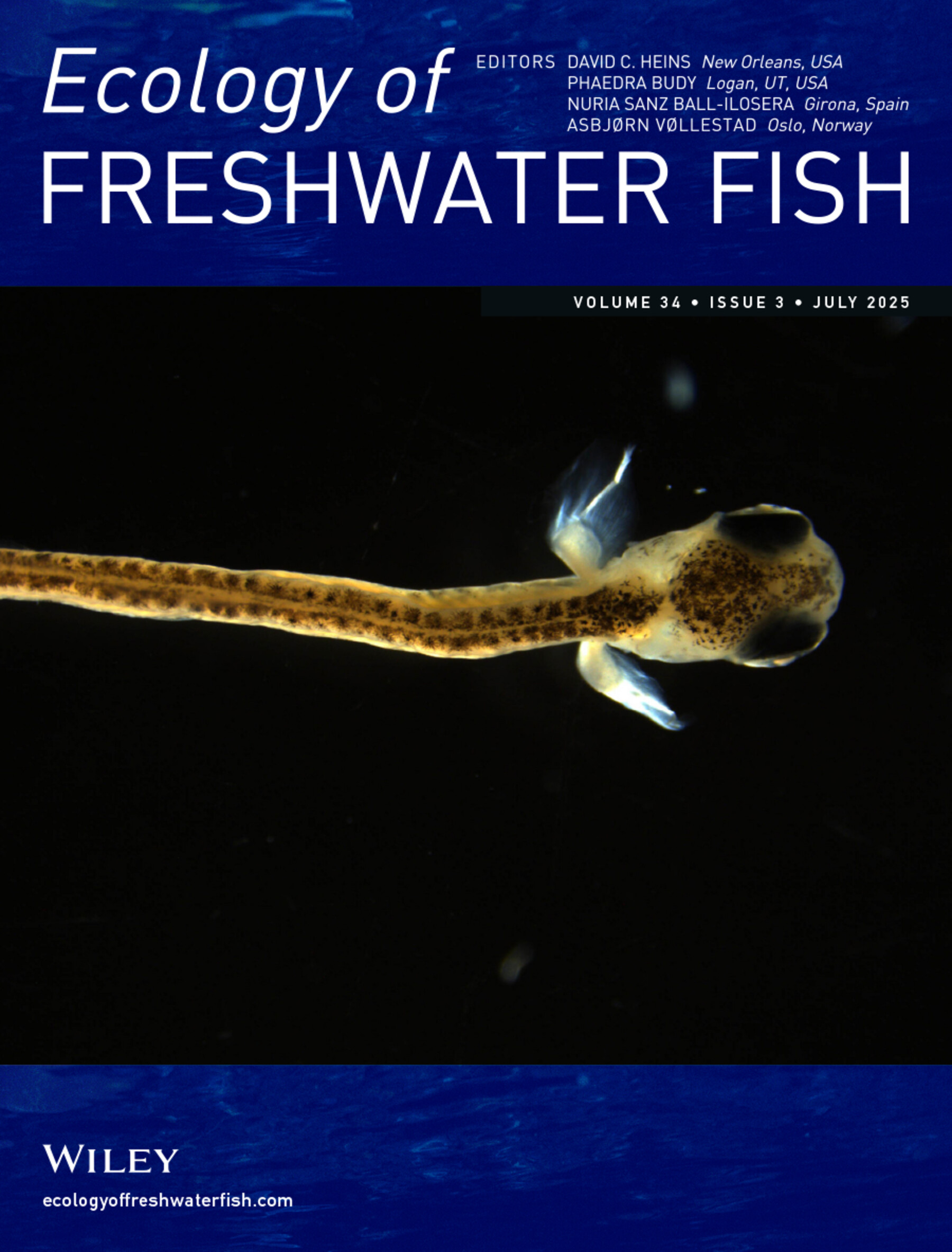Front Cover Issue 3, 2025