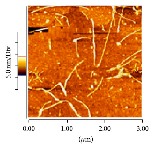 Details are in the caption following the image