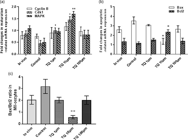 Thymoquinone reduces intracytoplasmic oxidative stress and improves epigenetic modification in polycystic ovary syndrome mice oocytes, during in-vitro maturation