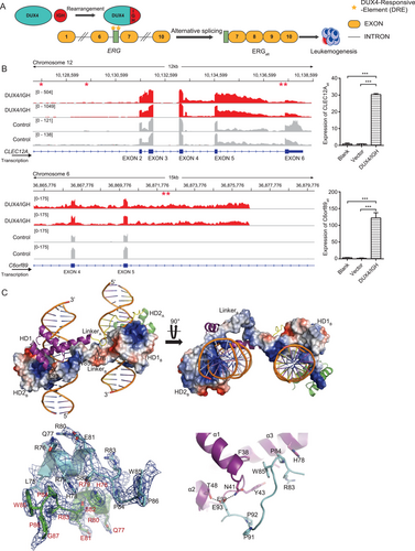 Details are in the caption following the image Details are in the caption following the image