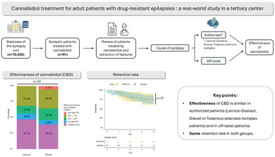 Cannabidiol Treatment for Adult Patients with Drug-Resistant Epilepsies: A Real-World Study in a Tertiary Center