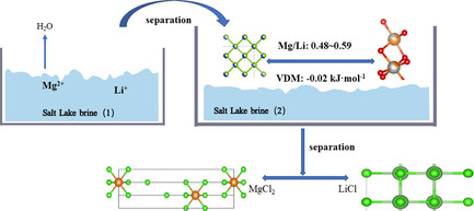 Separation Study of Magnesium–Lithium from Low-Mg/Li Brine