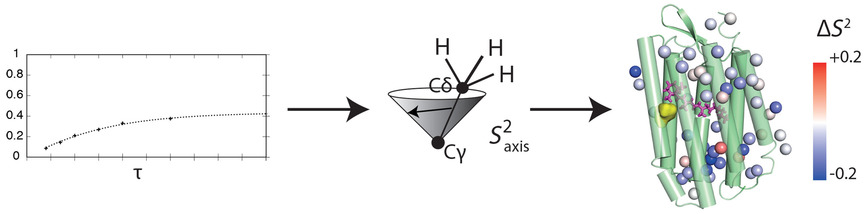 Dynamics of Bacteriorhodopsin in the Dark-Adapted State from Solution Nuclear Magnetic Resonance Spectroscopy