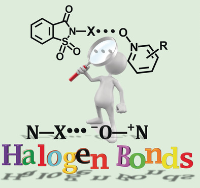 Strong N−X⋅⋅⋅O−N Halogen Bonds: A Comprehensive Study on N-Halosaccharin Pyridine N-Oxide Complexes