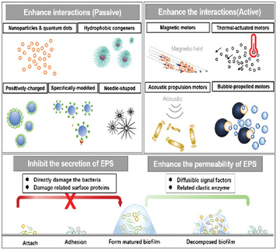Recent Nanotechnologies to Overcome the Bacterial Biofilm Matrix Barriers