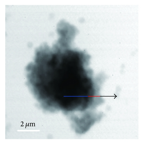 Details are in the caption following the image