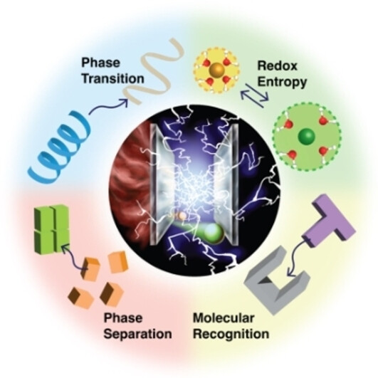 Advancement of Electrochemical Thermoelectric Conversion with Molecular Technology
