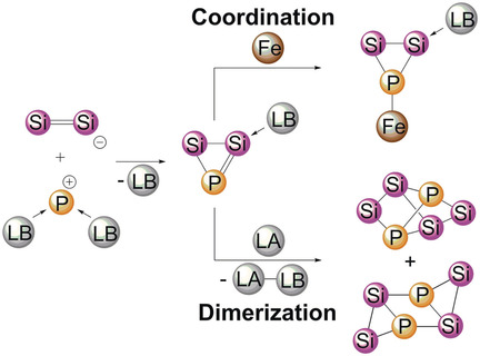 A Three-Membered Cyclic Phosphasilene