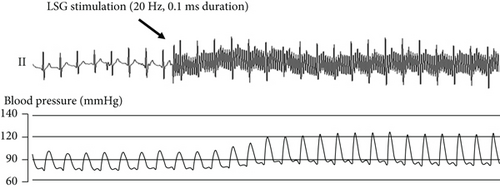 Details are in the caption following the image