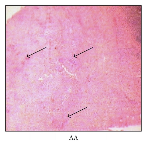 Details are in the caption following the image
